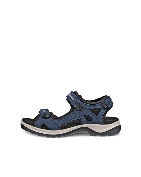 ECCO Offroad Blue