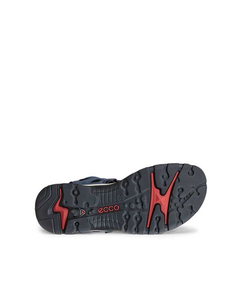 ECCO Offroad Blue