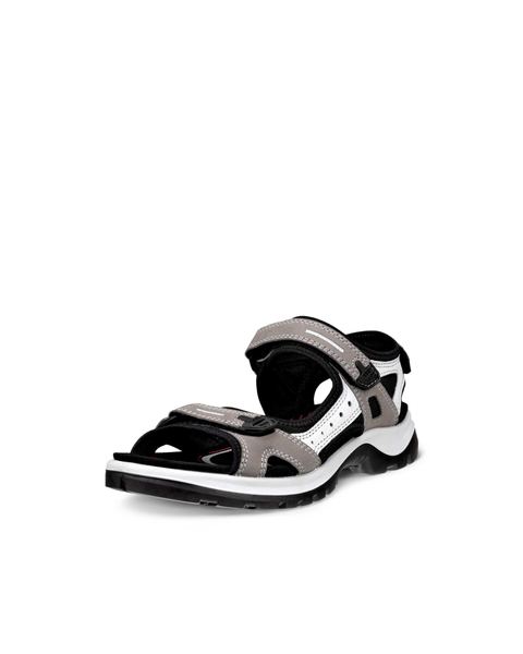 ECCO Offroad Gray