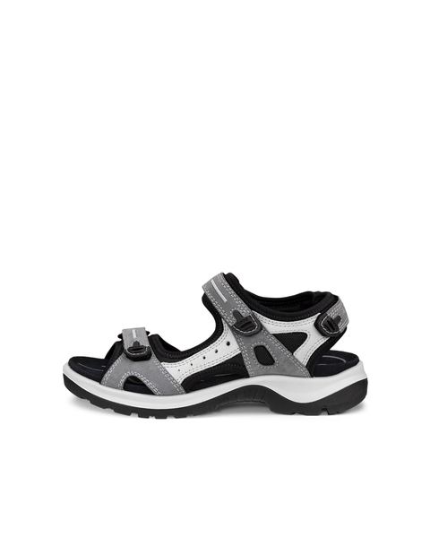 ECCO Offroad Gray