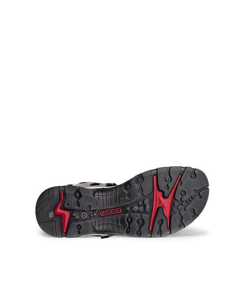 ECCO Offroad Gray
