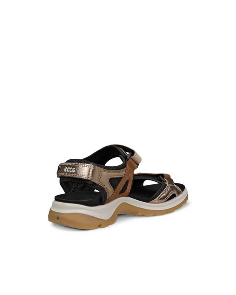 ECCO Offroad Brown