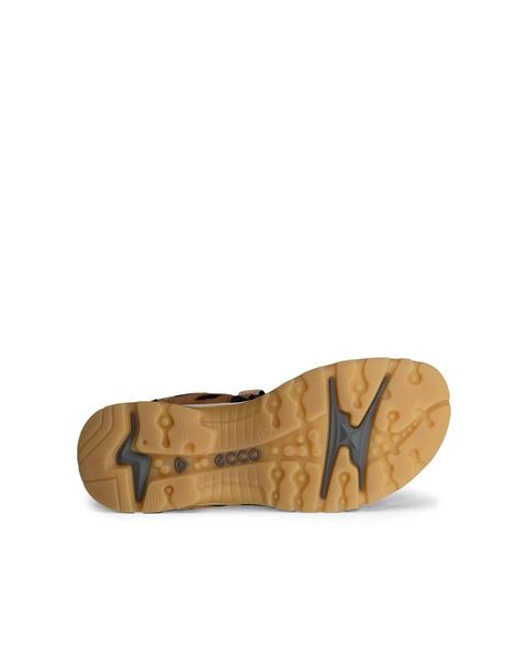 ECCO Offroad Brown