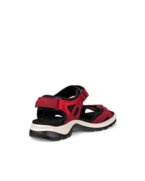 ECCO Offroad Red