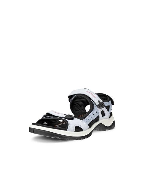ECCO Offroad Blue