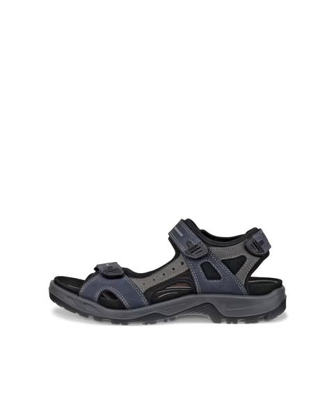 ECCO Offroad Blue