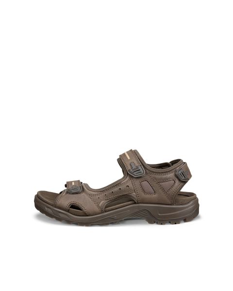 ECCO Offroad Brown
