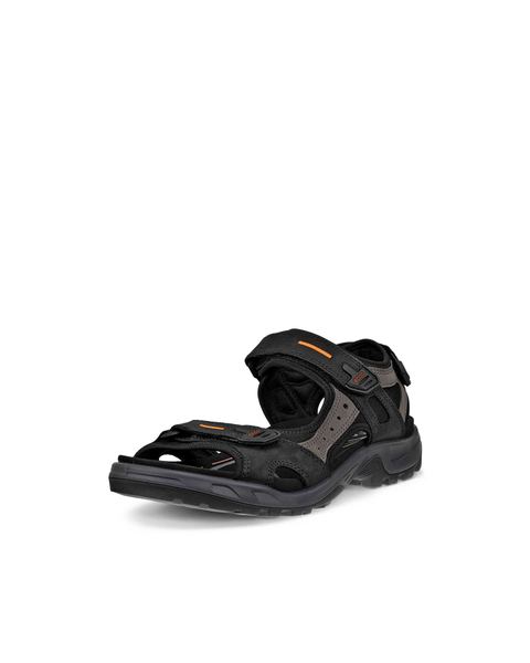 ECCO Offroad Black