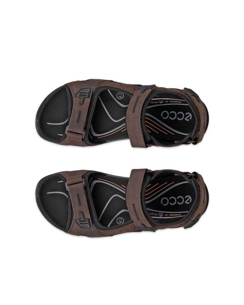 ECCO Offroad Brown