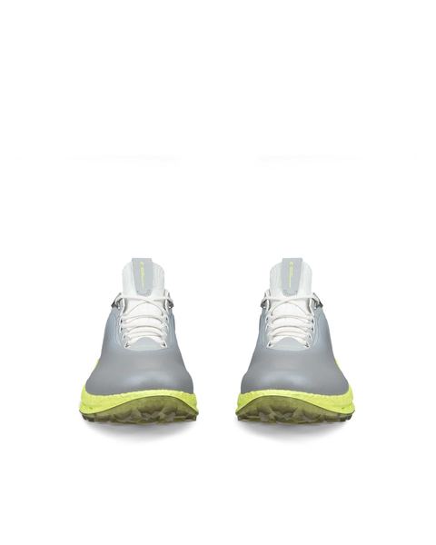 ECCO Golf Biom C5 Gray