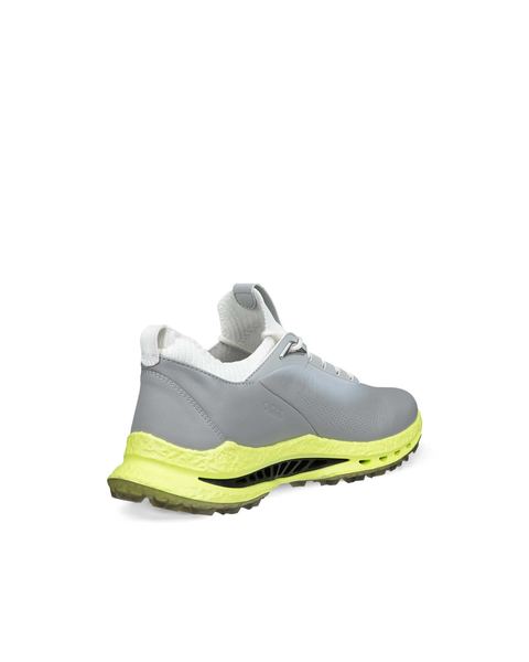 ECCO Golf Biom C5 Gray