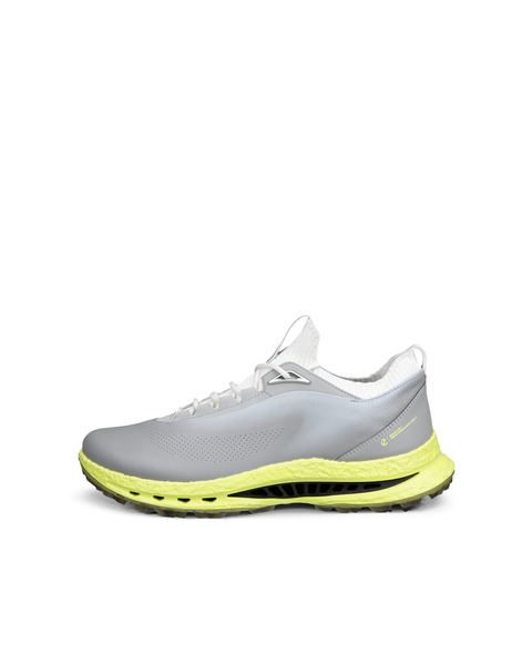 ECCO Golf Biom C5 Gray