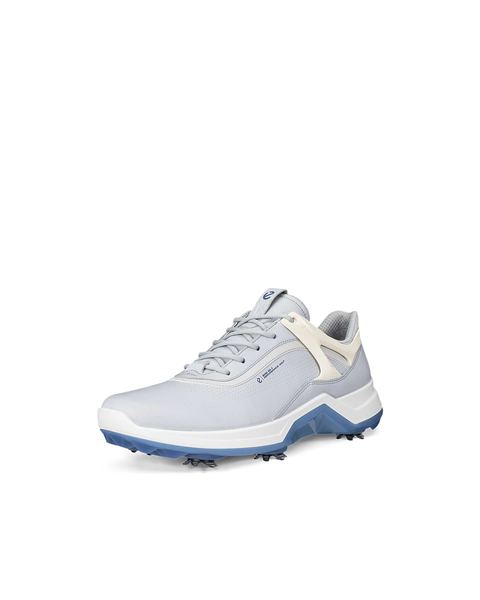 ECCO Golf Biom G5 Gray