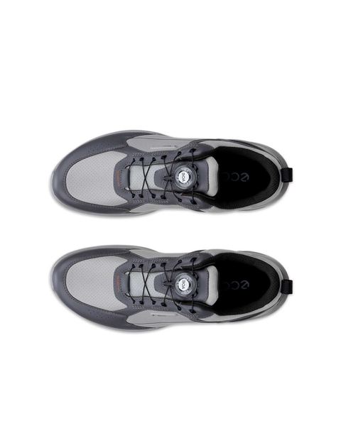 ECCO Golf Biom H6 Gray