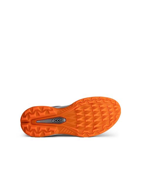 ECCO Golf Biom H6 Gray