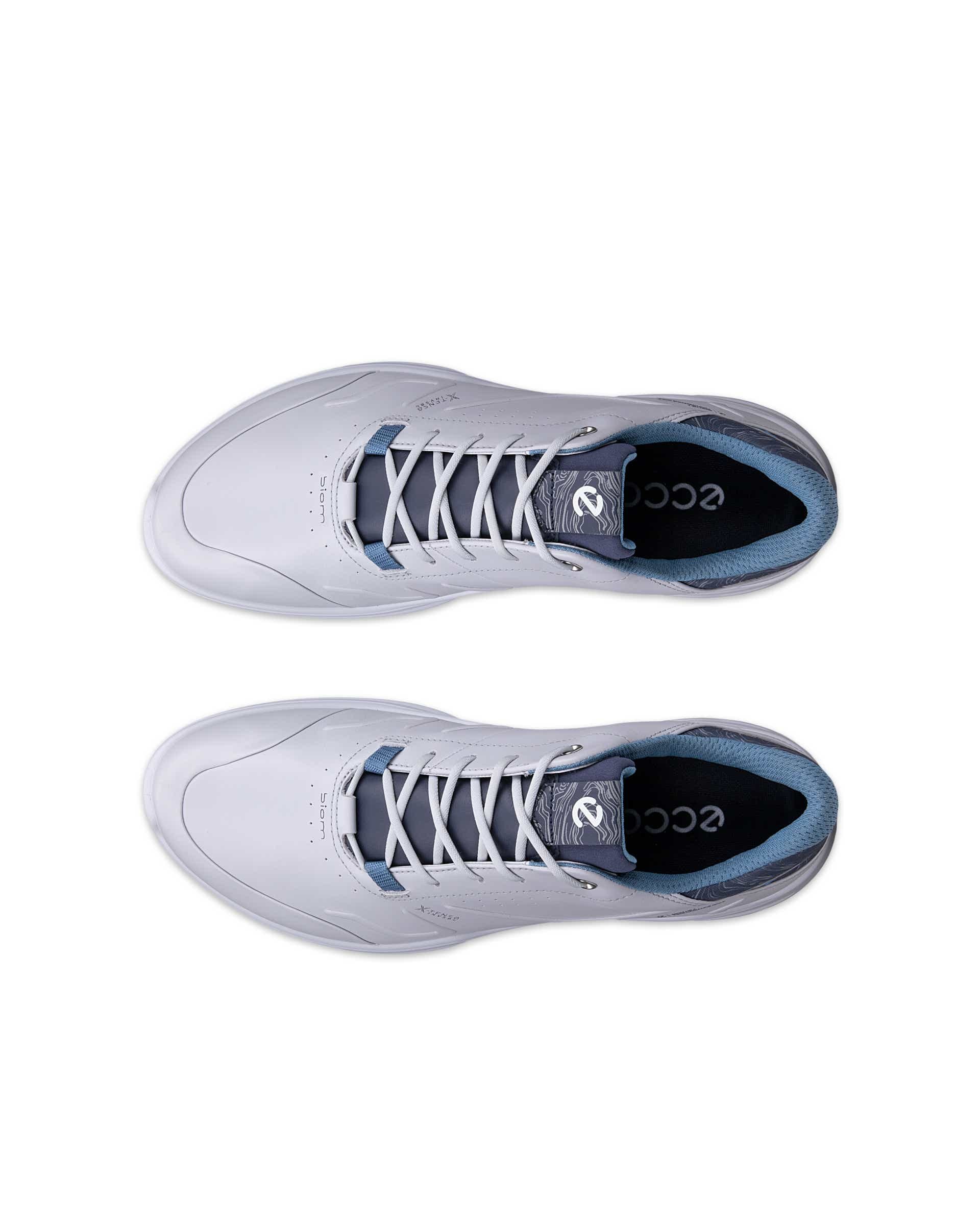 ECCO Golf Biom H6 Gray