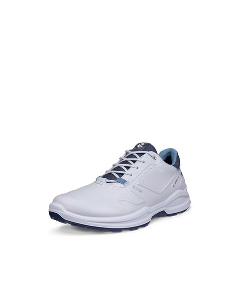 ECCO Golf Biom H6 Gray