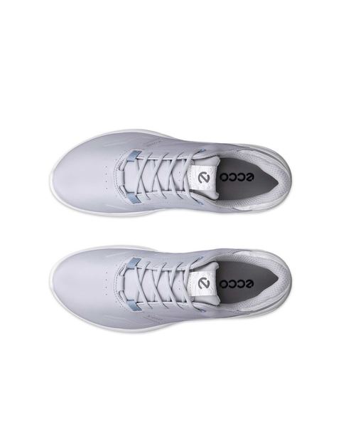 ECCO Golf Biom H6 Gray