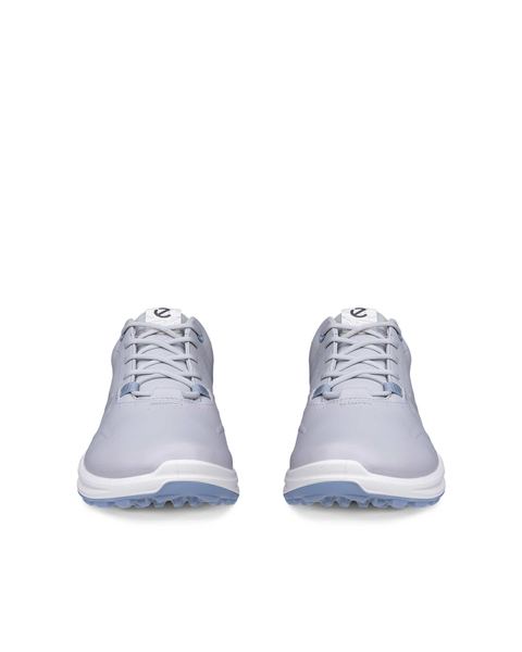 ECCO Golf Biom H6 Gray