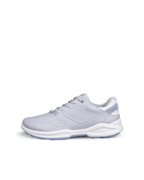 ECCO Golf Biom H6 Gray