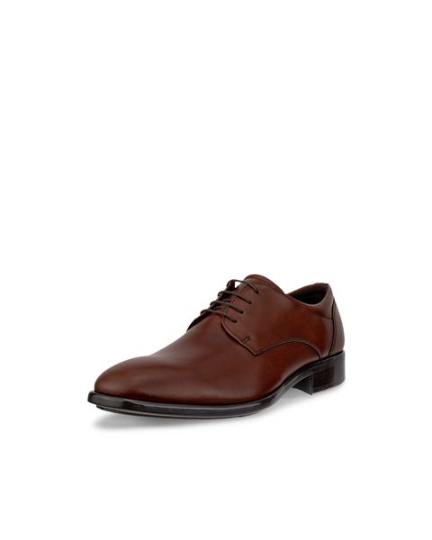 ECCO Citytray Brown