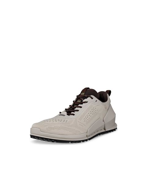 ECCO Biom 2.0 Gray