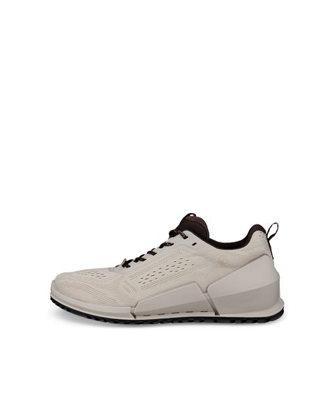ECCO Biom 2.0 Gray