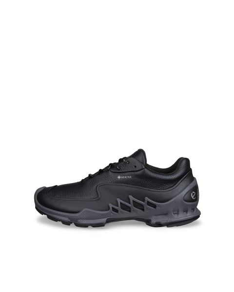 ECCO Biom Aex Black