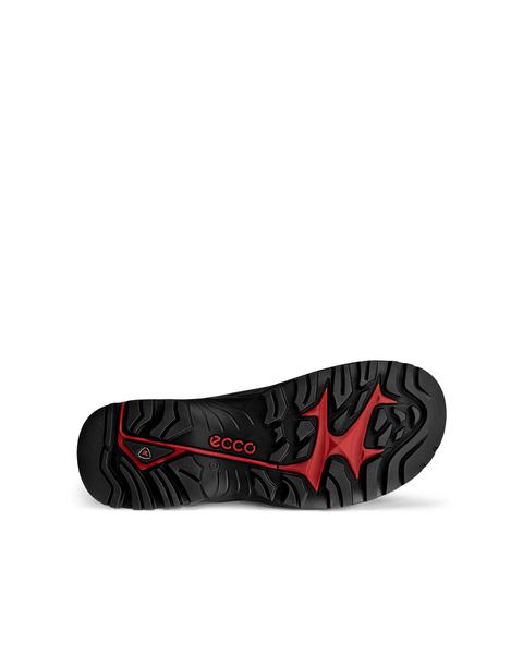 ECCO Offroad Black