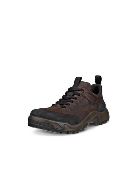 ECCO Offroad Brown