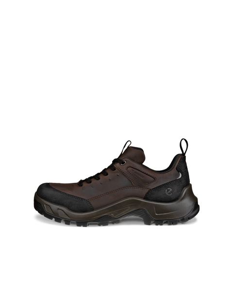 ECCO Offroad Brown
