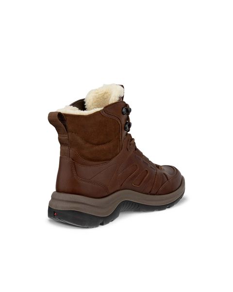 ECCO Offroad Brown