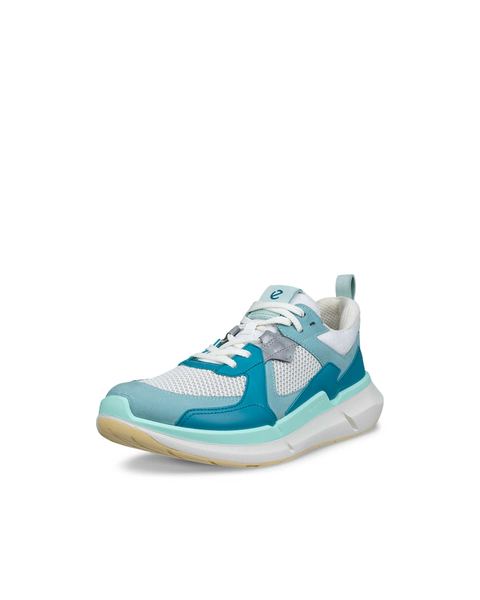 ECCO Biom 2.2 Blue