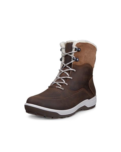ECCO Trace Lite Brown