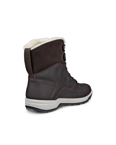 ECCO Trace Lite Brown