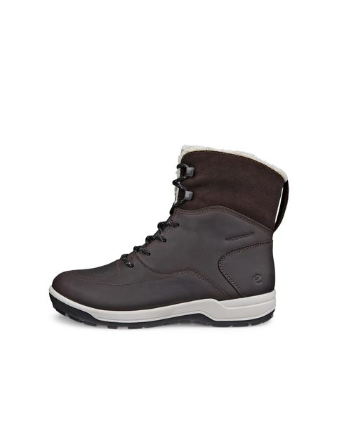 ECCO Trace Lite Brown