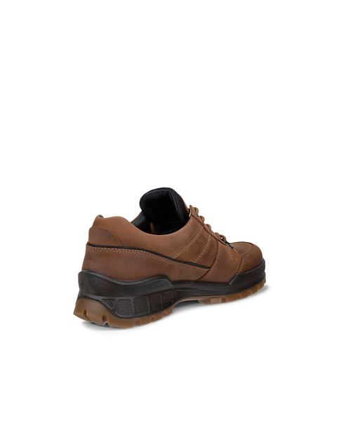 ECCO Track 25 Brown