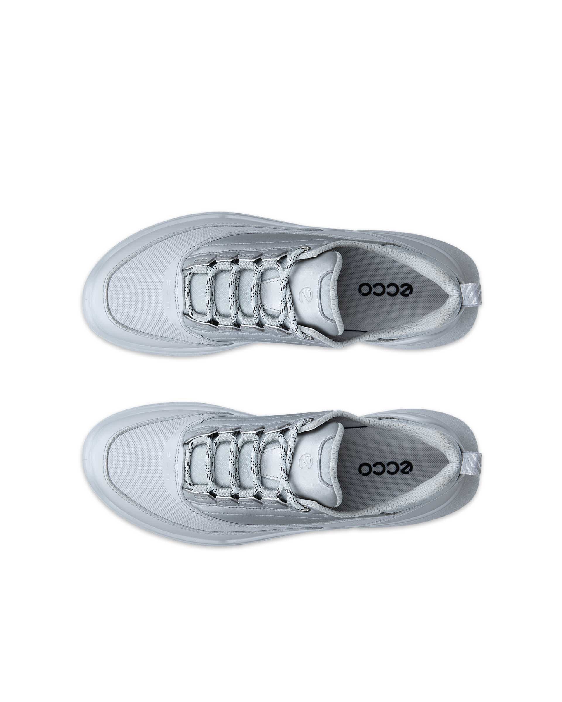 ECCO Biom 720 Gore-Tex Gray