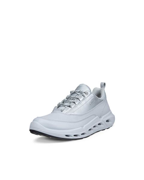 ECCO Biom 720 Gore-Tex Gray