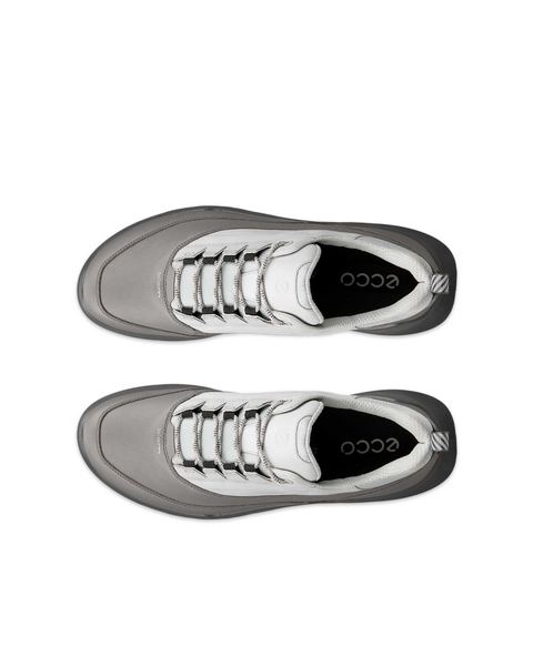 ECCO Biom 720 Gore-Tex Gray