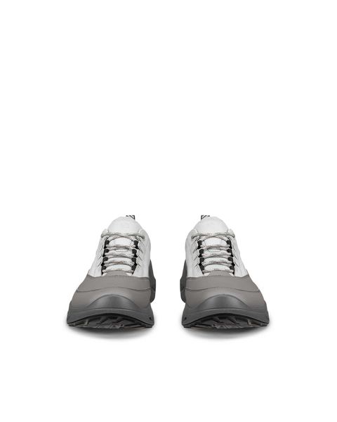 ECCO Biom 720 Gore-Tex Gray