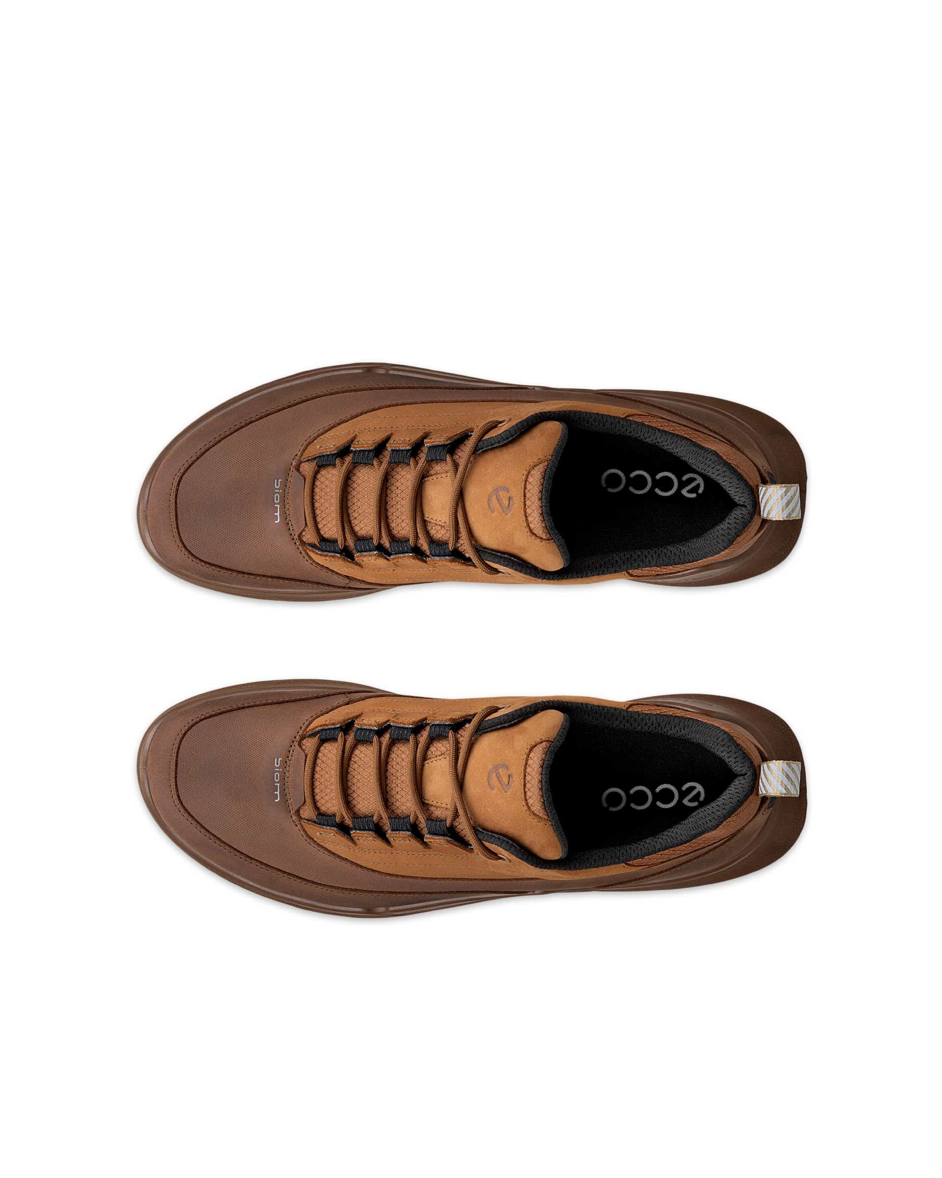 ECCO Biom 720 Gore-Tex Brown
