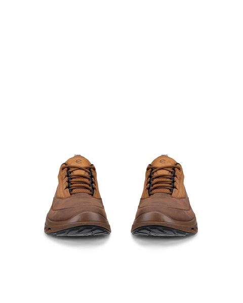ECCO Biom 720 Gore-Tex Brown
