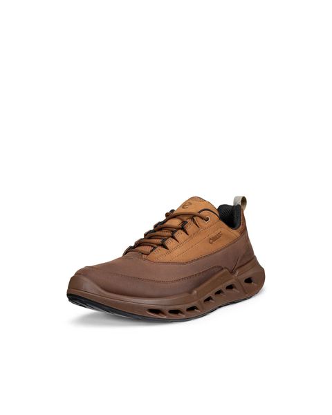 ECCO Biom 720 Gore-Tex Brown