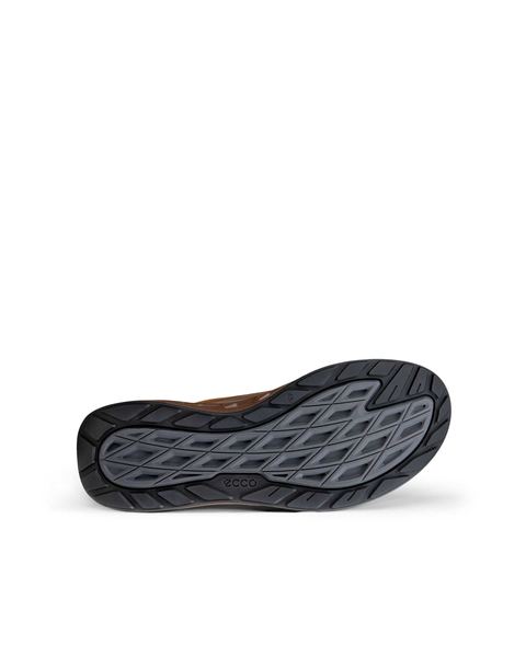 ECCO Biom 720 Gore-Tex Brown