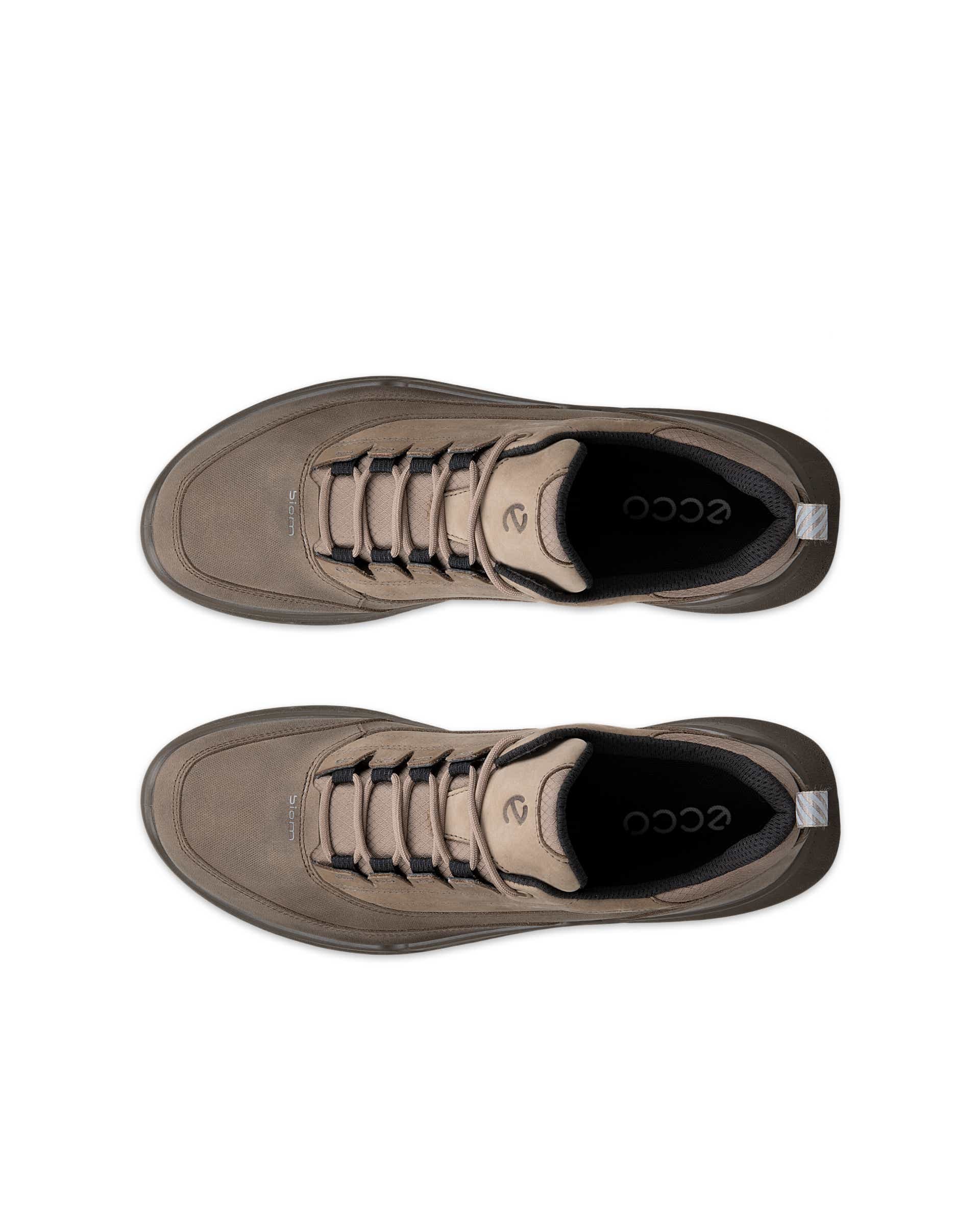 ECCO Biom 720 Gore-Tex Brown
