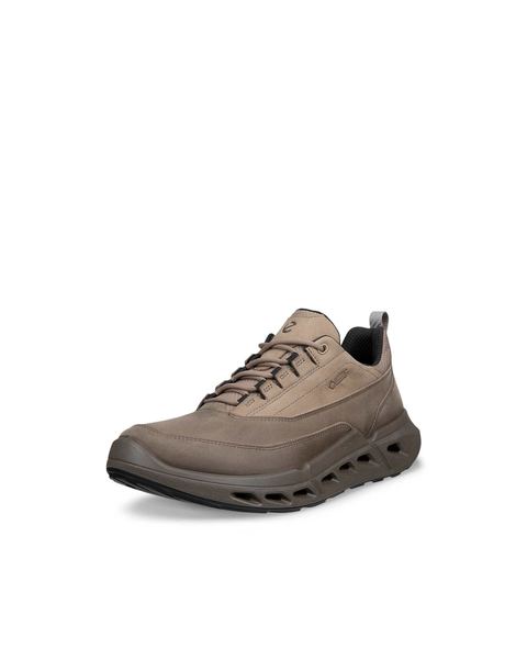 ECCO Biom 720 Gore-Tex Brown