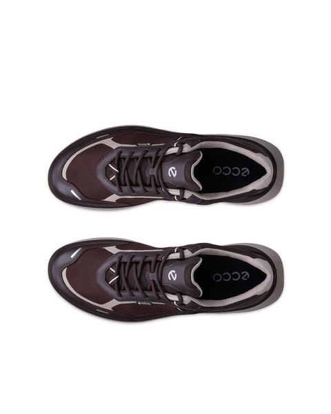 ECCO Biom 720 Gore-Tex Brown