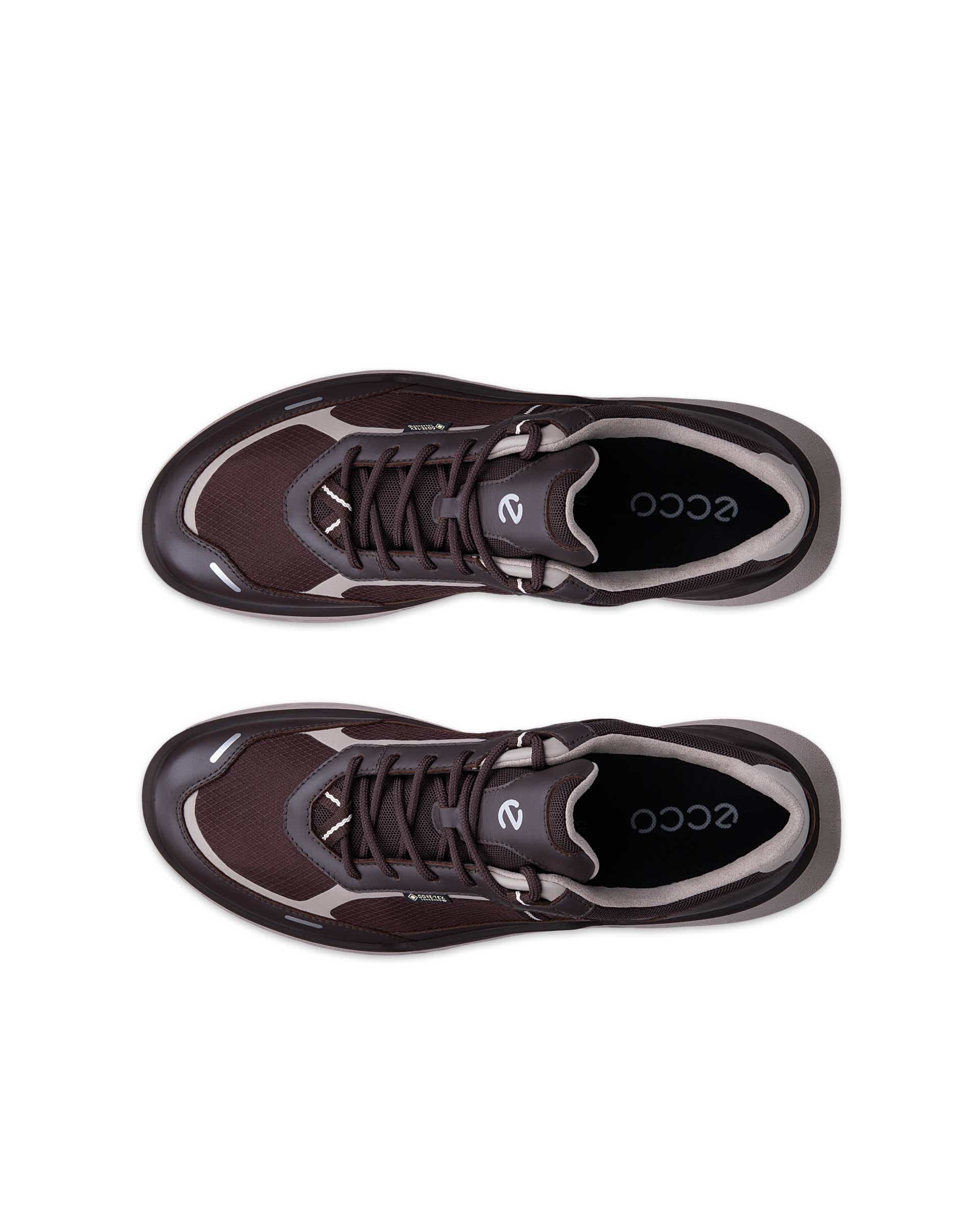 ECCO Biom 720 Gore-Tex Brown