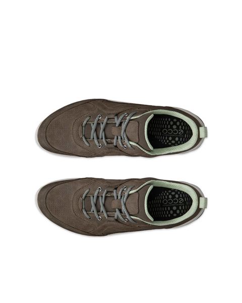 ECCO Biom Energi Brown